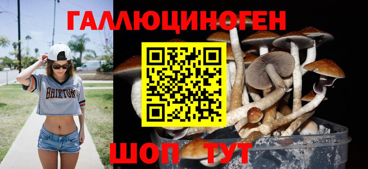 Псилоцибиновые грибы Psilocybe  Галлюциногенные грибы Cubensis  Вход с VPN  Канаш 