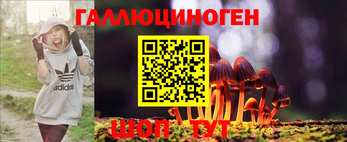 Галлюциногенные грибы Psilocybine cubensis Канаш